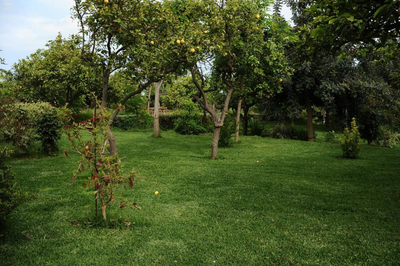 أتشيريالي Tenuta Santa Tecla المظهر الخارجي الصورة